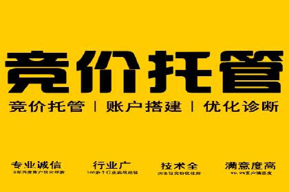 搜索开户返点政策下的成功案例分析